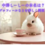 中澤しーしーの本名は？wikiやプロフィールなどを詳しく調査してみた