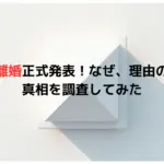 平野綾の離婚正式発表！なぜ、理由の詳細は？真相を調査してみた